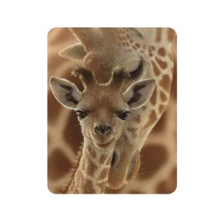 Obrázek z Magnet 3D 7x9cm - žirafa (25) 